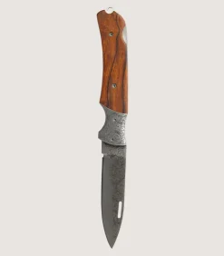 Hunter Folding Knife With Lock Back