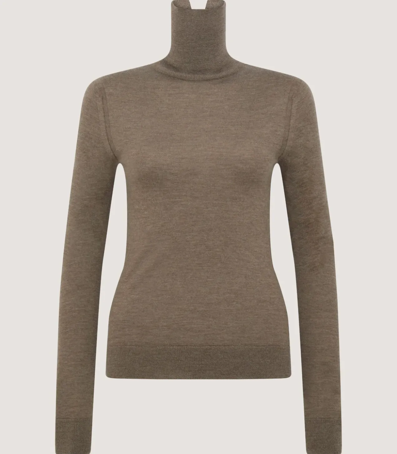Women'S Extra Fine Worsted Cashmere Turtleneck
